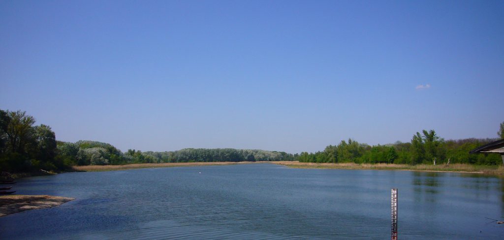 Riparian area Lobau: what looks like wilderness, is in fact strongely impacted by human activity